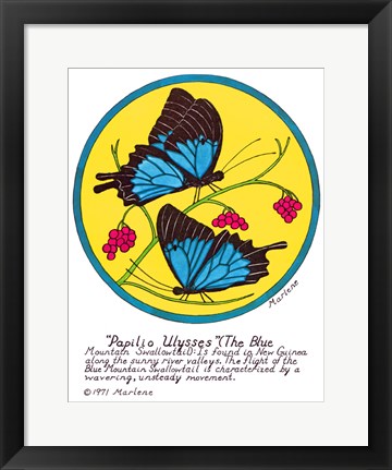 Framed Blue Mountain Swallowtail Print