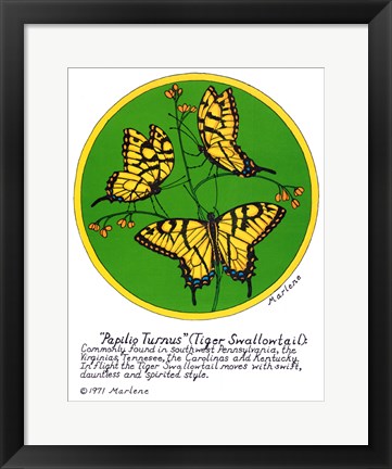 Framed Tiger Swallowtail Print