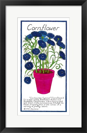 Framed Cornflower Print