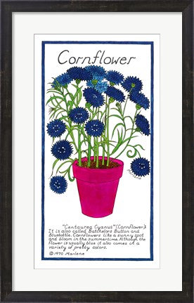 Framed Cornflower Print