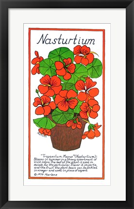 Framed Nasturtium Print