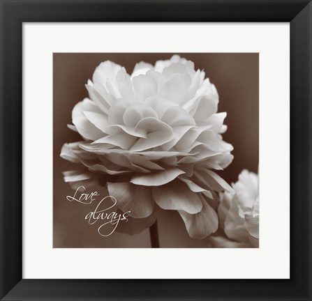 Framed Sepia Blossoms II Print