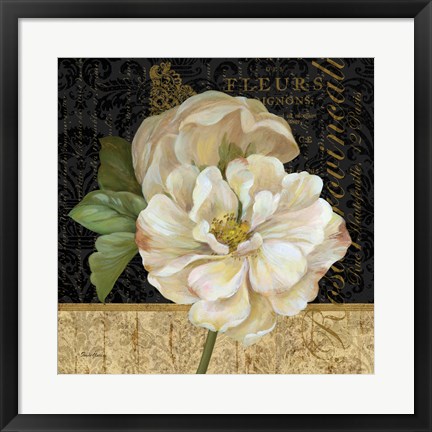 Framed Antique Still Life Rose Print