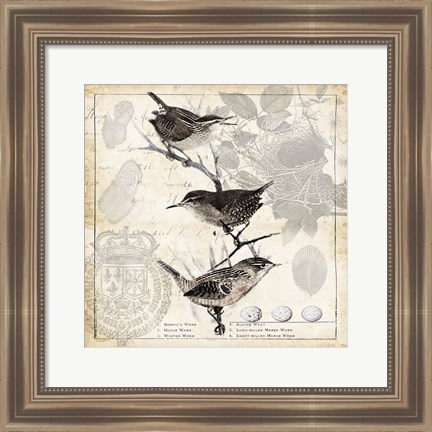 Framed Botanical Birds Black Cream I Print