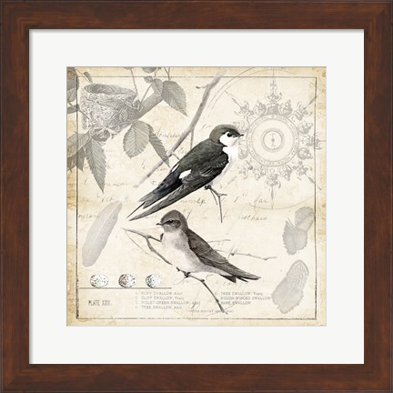 Framed Botanical Birds Black Cream II Print