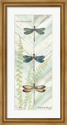 Framed Dragonfly Botanical Panels I Print