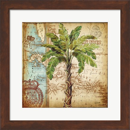 Framed Antique Nautical Palms I Print