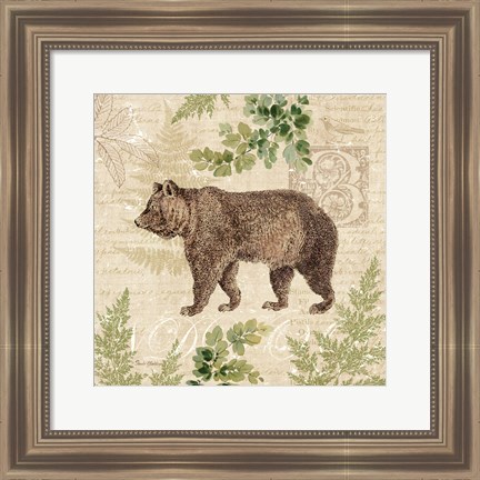 Framed Woodland Trail II (Bear) Print