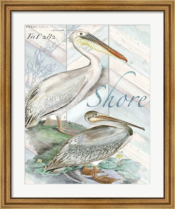 Framed Shore Birds I Print