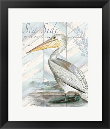 Framed Shore Birds II Print