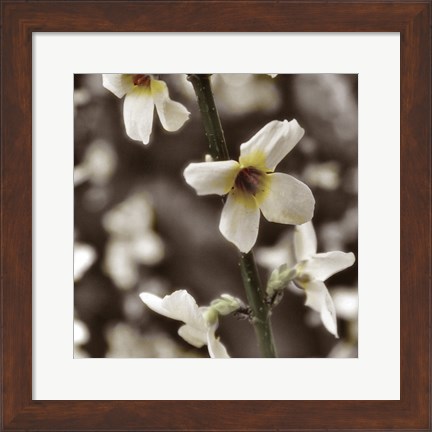 Framed Hint of Spring VI Print