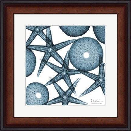 Framed Starfish 2 Print