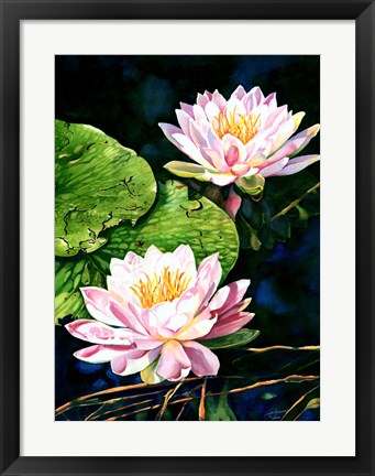 Framed Waterlily Reflections Print