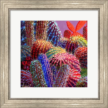 Framed Barrel Cactus 4 Print