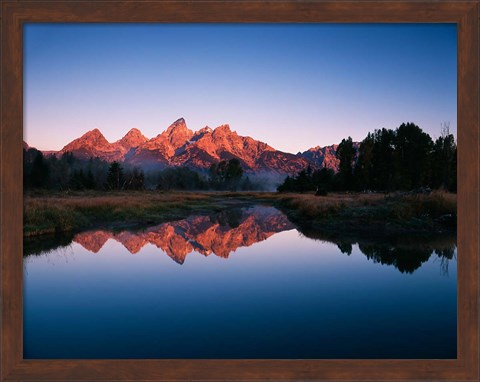 Framed Teton Range reflecting in Beaver Pond, Grand Teton National Park, Wyoming Print