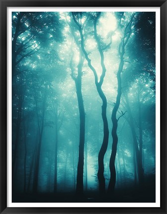 Framed Blue Light Woods Print