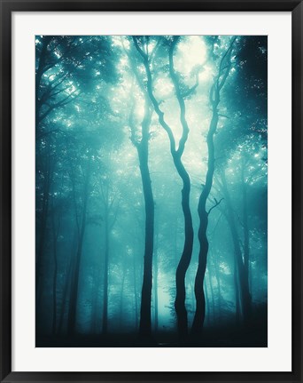 Framed Blue Light Woods Print