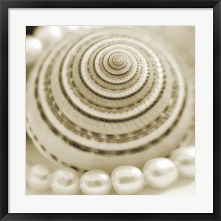 Framed Shells and Pearls 1 Print