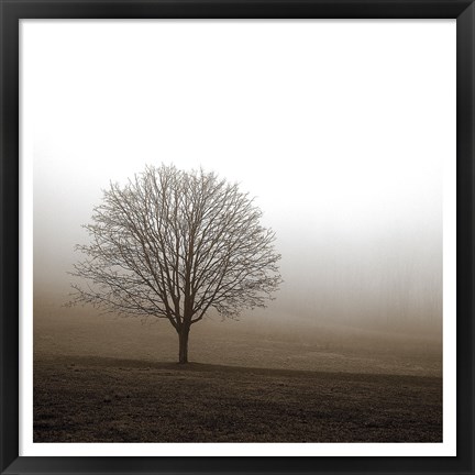 Framed Tree in Mist 1 Print