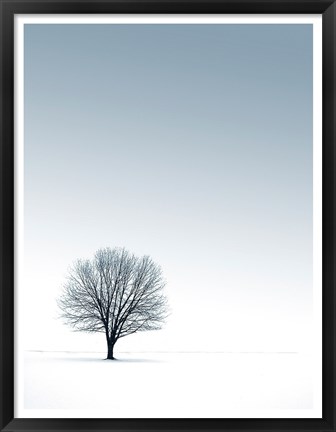 Framed Tree in Winterscape Print