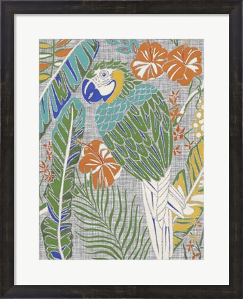 Framed Tropical Macaw Print