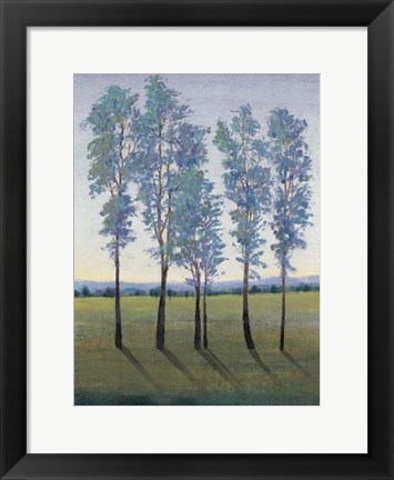 Framed Acreage II Print