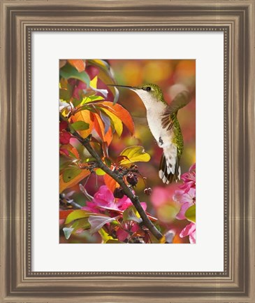 Framed Flower Dance XVII Print