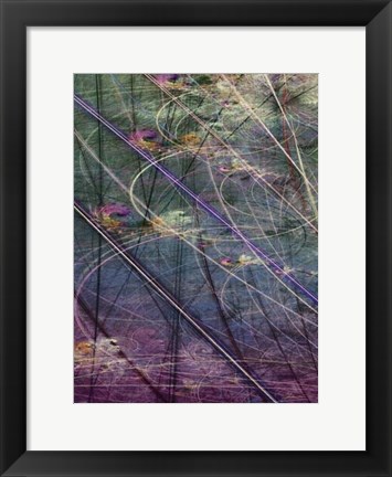 Framed Wetlands Vector I Print