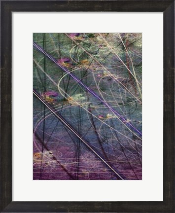Framed Wetlands Vector I Print
