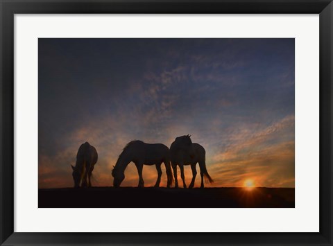 Framed Camargue Sunrise Print