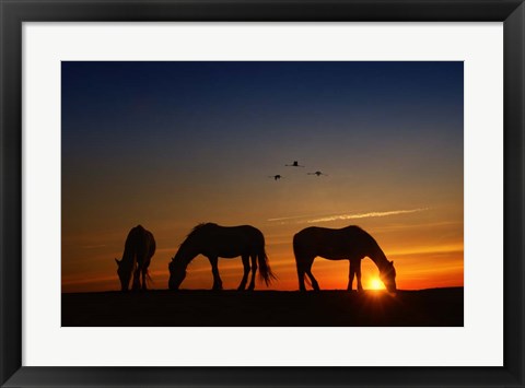 Framed Fly Over Print