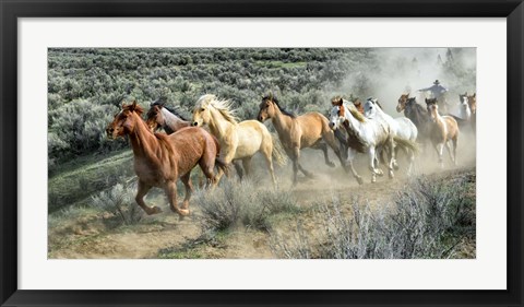 Framed Stampede I Print