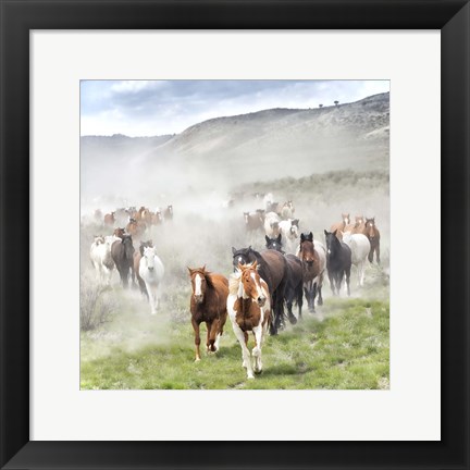 Framed Stampede II Print