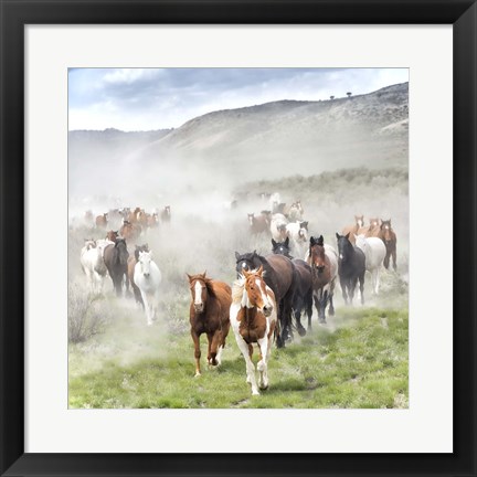 Framed Stampede II Print