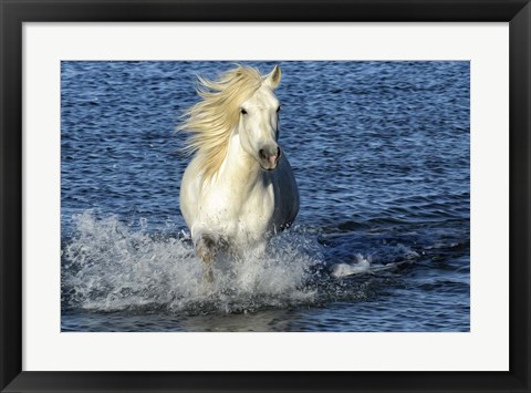 Framed Blue Sea Print