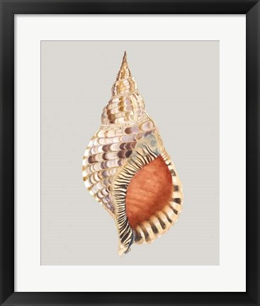 Framed Giant Triton Print