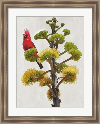 Framed Avian Tropics I Print