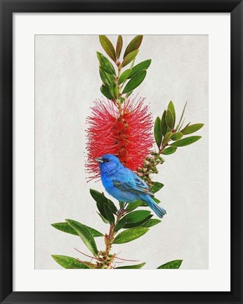 Framed Avian Tropics III Print