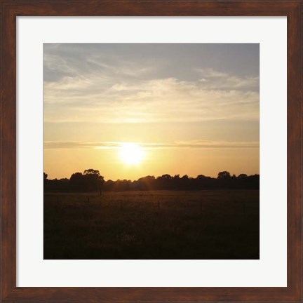 Framed Sunset Field I Print