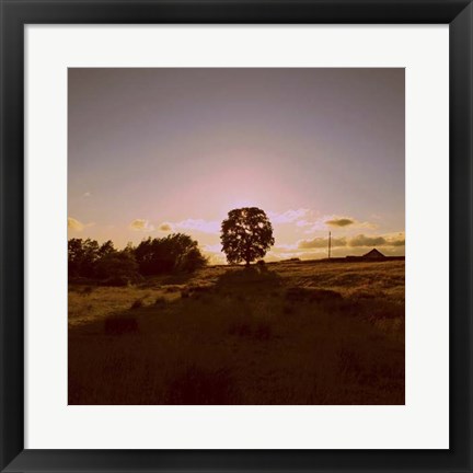 Framed Sunset Field II Print