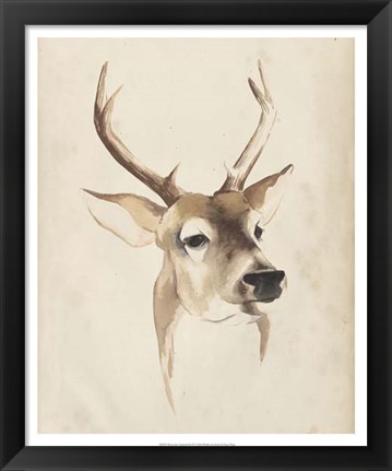 Framed Watercolor Animal Study IV Print