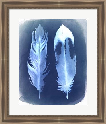 Framed Feather Negatives II Print