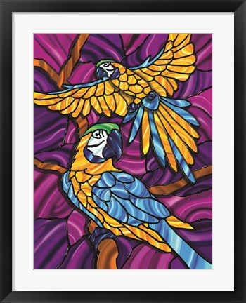 Framed Parrot A Print