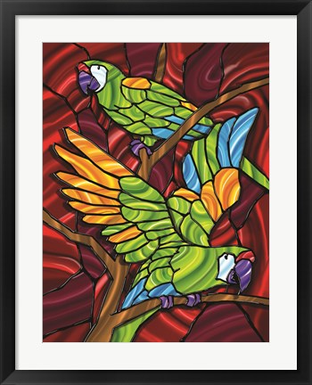 Framed Parrot D Print