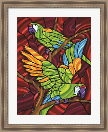 Framed Parrot D Print