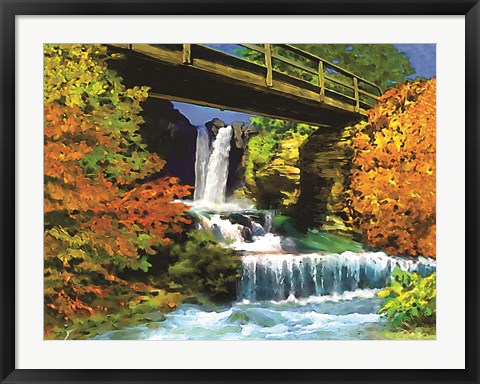 Framed Waterfall C Print