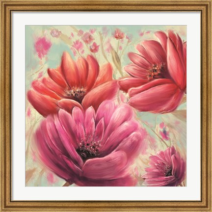 Framed Pink Poppy Bloom Print