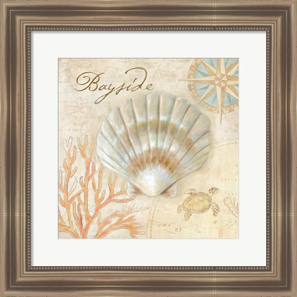 Framed Nautical Shells II Print