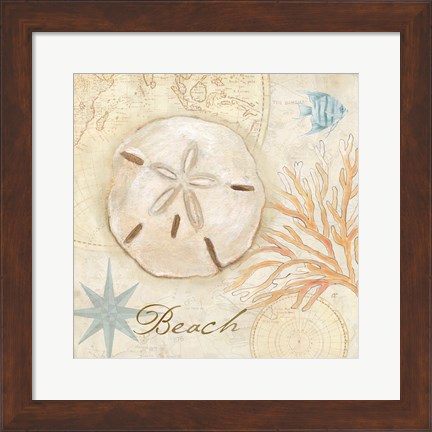 Framed Nautical Shells IV Print