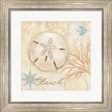 Framed Nautical Shells IV Print